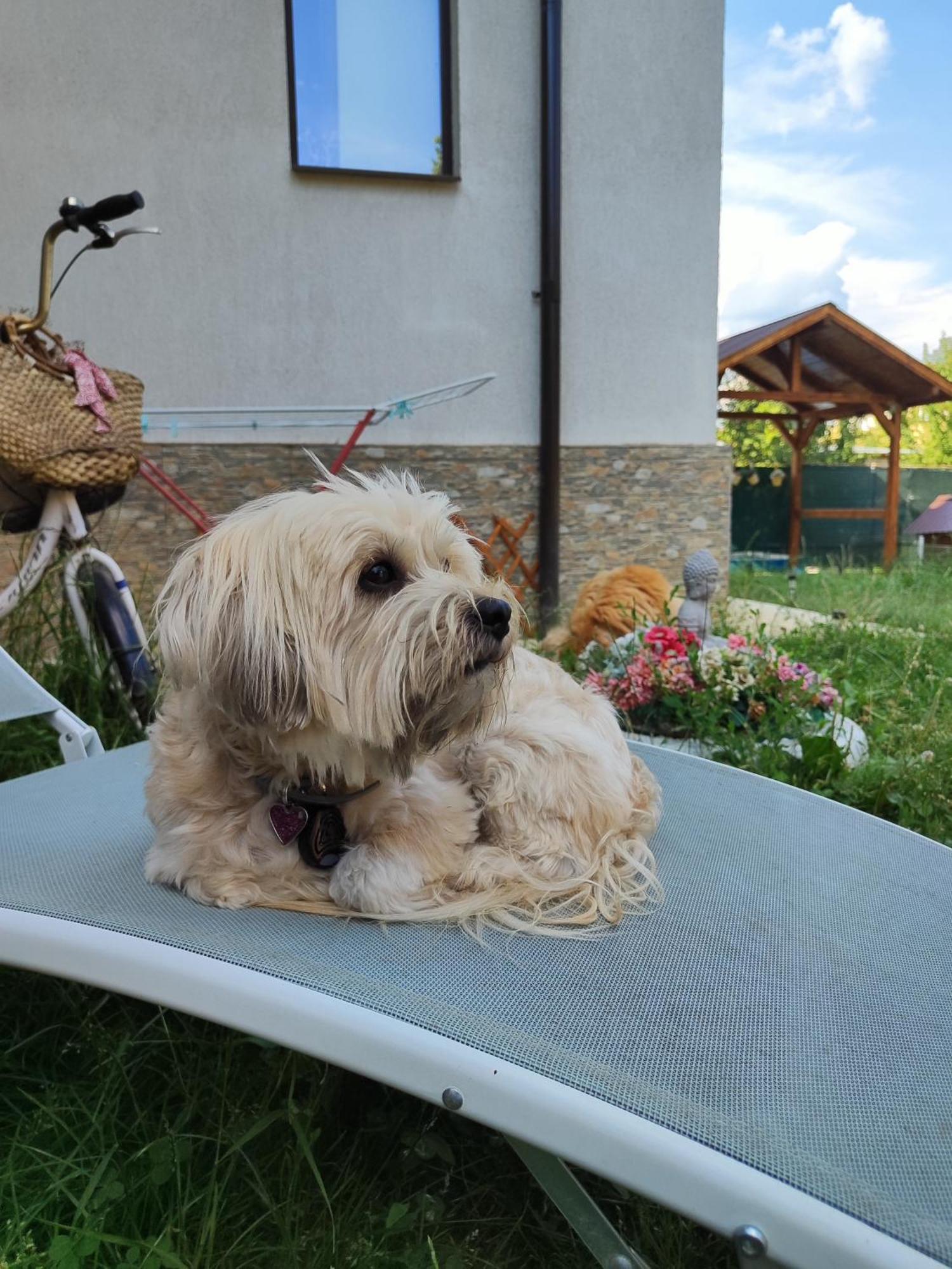 Happy Home Călimăneşti Dış mekan fotoğraf